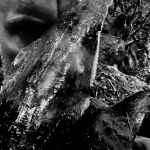 TAAKE - En skog av nidstang DIGI